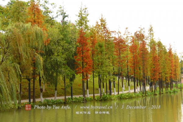 千灯湖