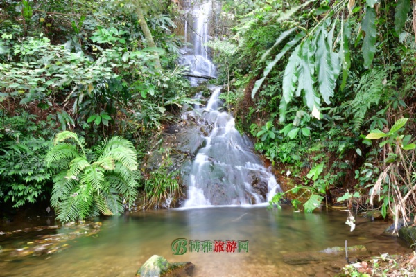 南丹山森林王国