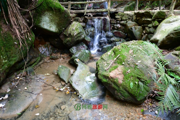 南丹山森林王国