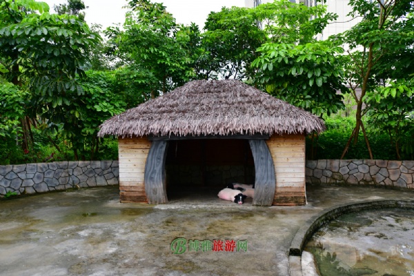 美的鹭湖森林度假区