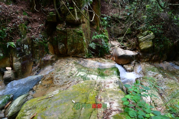 南丹山森林王国