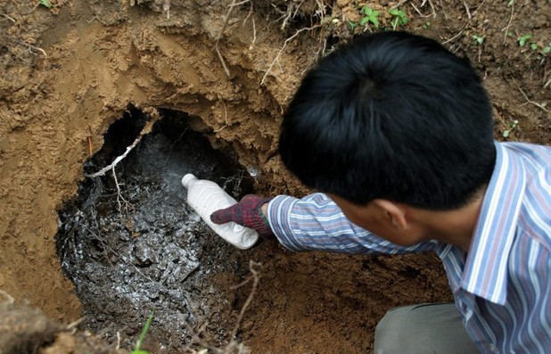 安阳灭老鼠灭蟑螂灭蚊子灭苍蝇赵清波灭鼠公司