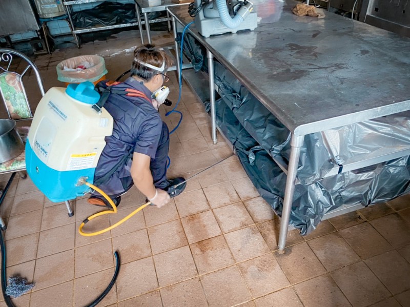 安阳专业灭鼠 四害消杀公司专业杀虫灭鼠