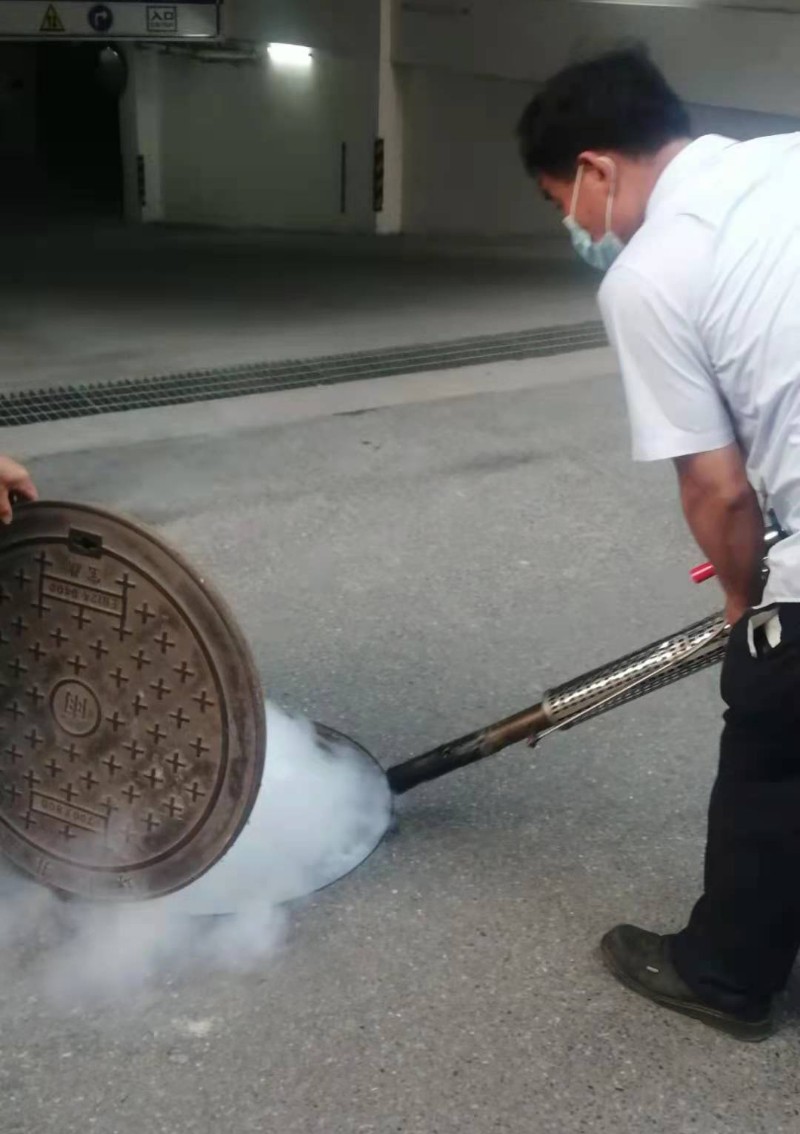 安阳专业灭鼠 四害消杀公司专业杀虫灭鼠 安阳专业灭鼠 四害消杀公司专业杀虫灭鼠