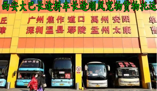 南阳到广州汽车/15861212886,南阳到广州大巴时刻表返程车、回程车、宠物货物托运!南阳到广州