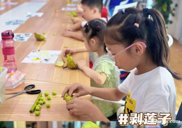 苏州少儿暑假夏令营赏千亩荷花人与自然探索体验营活动拓展报名中 苏州少儿暑假夏令营赏千亩荷花人与自然探索体验营活动拓展报名中