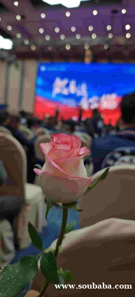 浙江舟山富猫法务协商方案好评如潮 浙江舟山富猫法务协商方案好评如潮