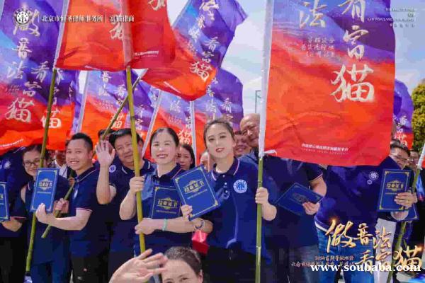 天津武清富猫法务费是多少 天津武清富猫法务费是多少